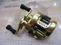 15カルカッタコンクエスト 100HG 