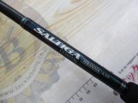 ソルティガコースタル SG ヒラマサ 63S