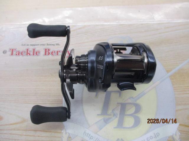 スティーズ AⅡ TW 1000XHL