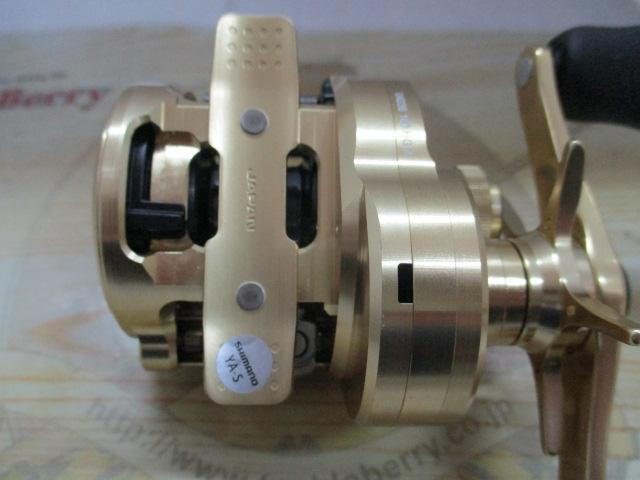 21カルカッタコンクエスト 100HG