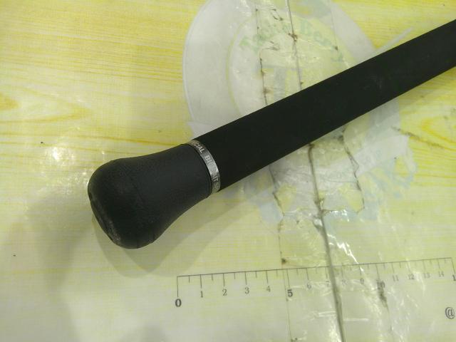 ワイルドサイド WSC64XH Big Bait Special