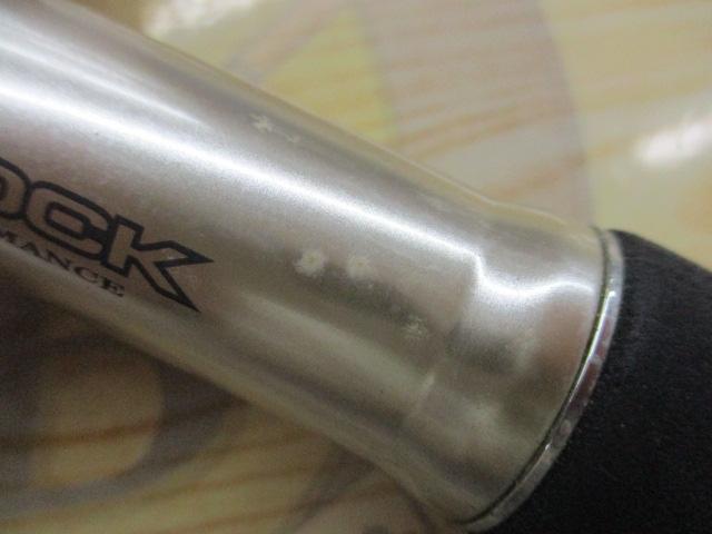 リーオマスターヒラメ 300