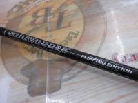 サイドワインダーHGC-73XXフリッピングエディション