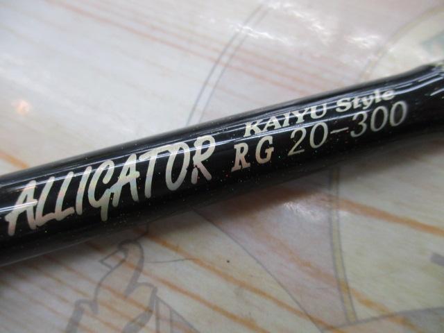 カイユウスタイル RG 20-300
