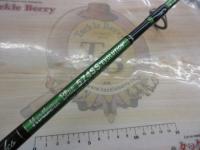 ノーザンブルー 574SS エボリューション