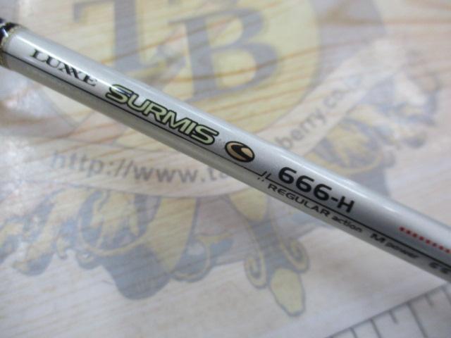 ラグゼサーミス 666H