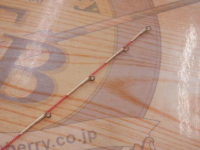江戸川1.6M