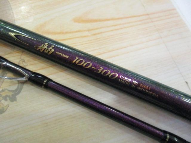 舳 100-300