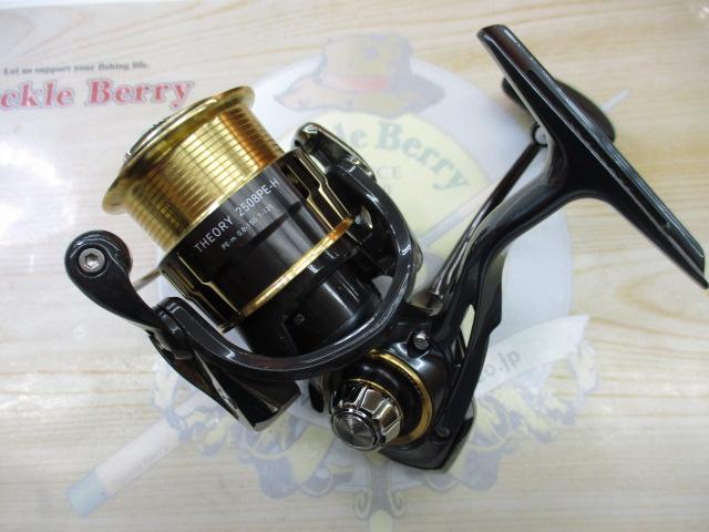 ダイワ 17セオリー 2508PE-H ダイワ(DAIWA) 17セオリー(THEORY) 2508PE-H 17セオリー(THEORY