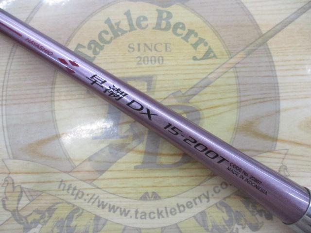 IG早潮DX 15-200T