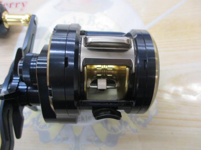 21ソルティガIC 300L-DH
