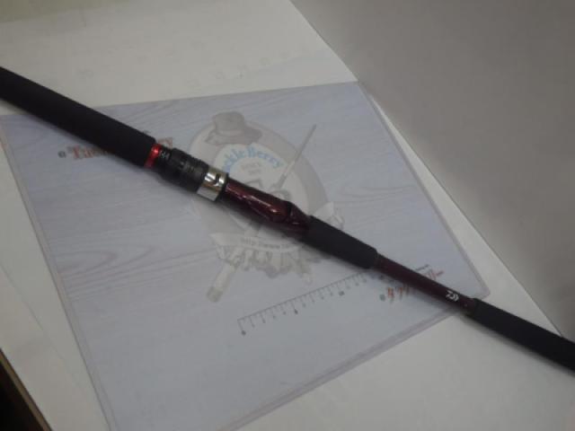 リーオマスター青物SX H-300・N