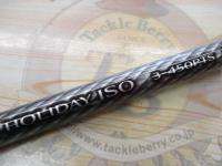 17ホリデー磯 3号450PTS