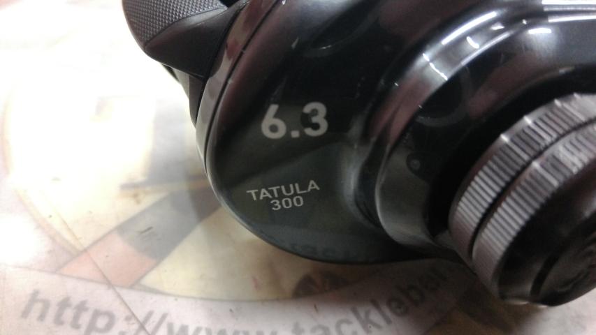 タトゥーラ TW 300