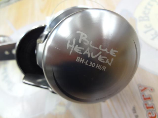 ブルーヘブン BH-L30Hi/R(16) AG41モデル 