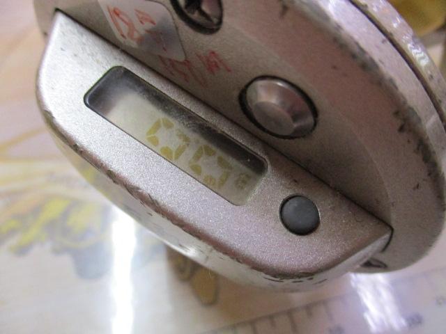 シーライン石鯛・Z50WH