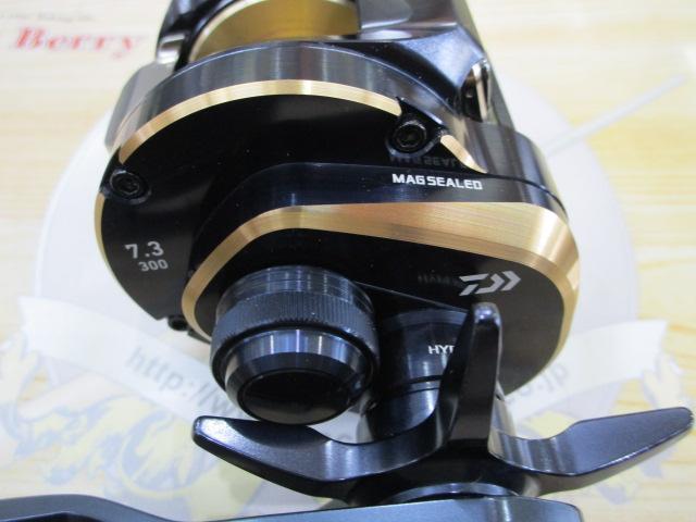 25ソルティガ 300H