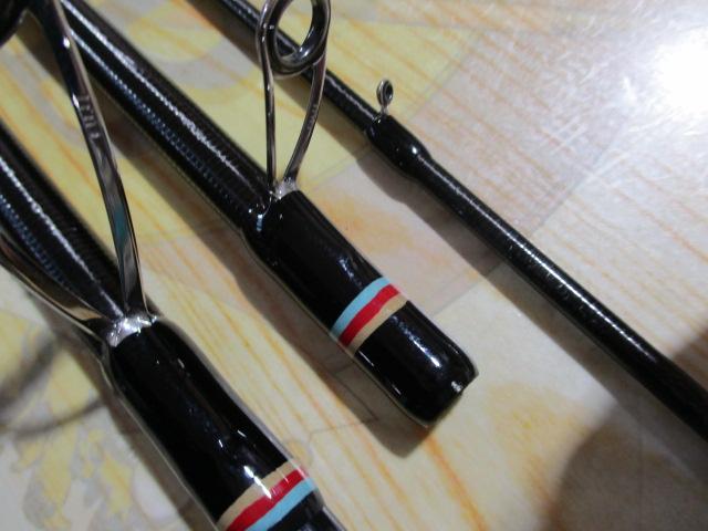 カナリア アゾレス81