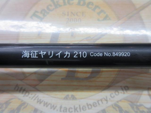 海征ヤリイカ 210