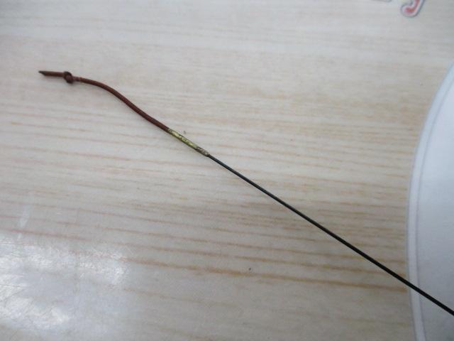 夢翔ハエ 540