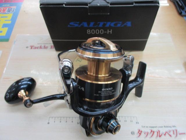 20ソルティガ 8000-H