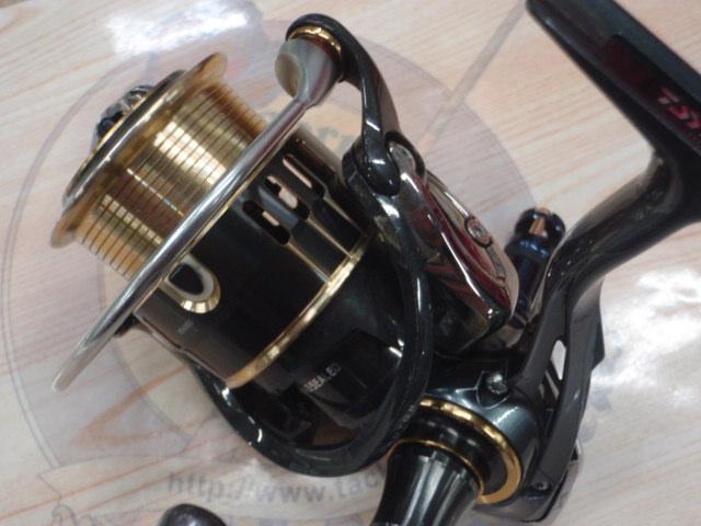 17セオリー 2508PE-DH