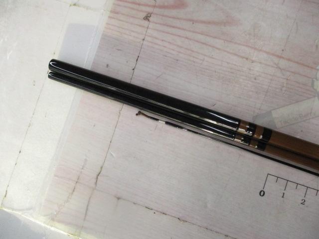 月光 9