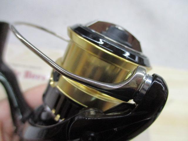 18カーディフCI4+ 1000SHG