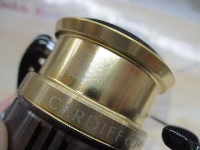 18カーディフCI4+ 1000SHG