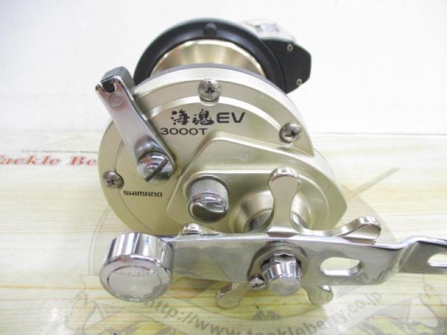 海魂EV 3000T