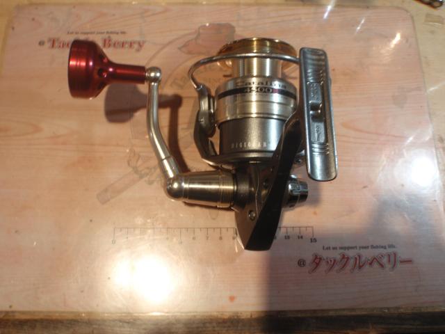 キャタリナ 4500H