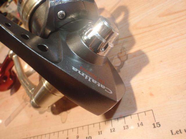 キャタリナ 4500H