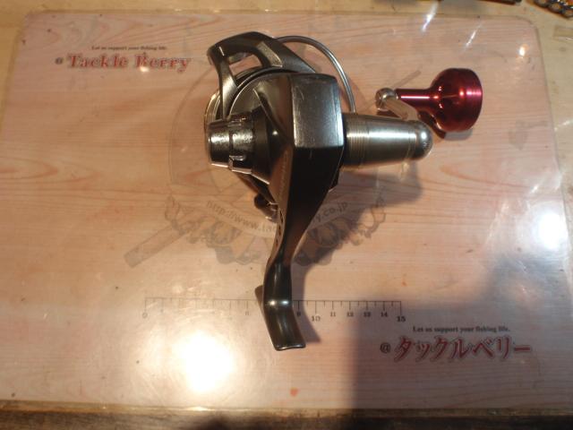 キャタリナ 4500H