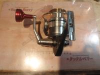 キャタリナ 4500H