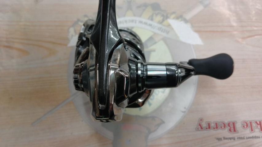 21コンプレックスXR 2500 F6 HG