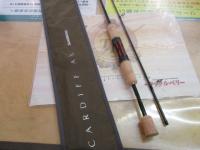 21カーディフAX S66UL