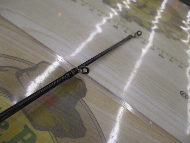 アンモナイト 66M