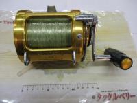 インターナショナルⅡ 30TW
