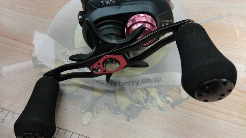 キャタリナ TW 100PL-RM