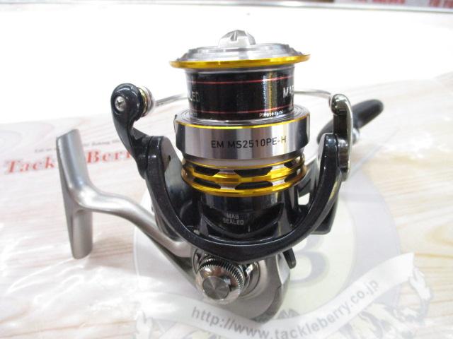 16EM MS2510PE-H