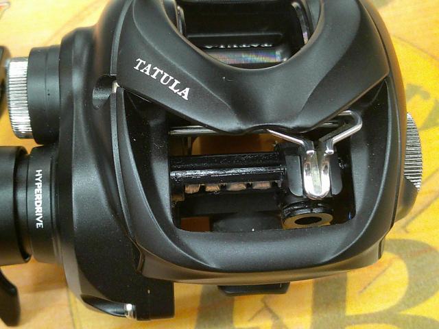 24タトゥーラ TW 100XH