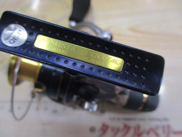 13アオリスタBB C3000HG