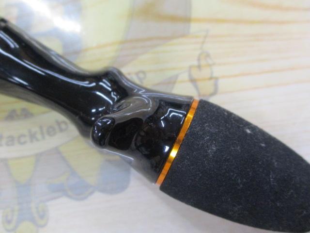リーディング アオリ 117