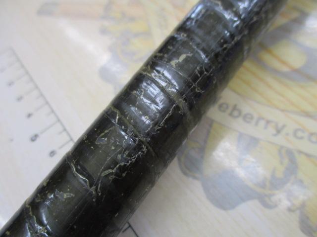 PL振出石鯛 525H