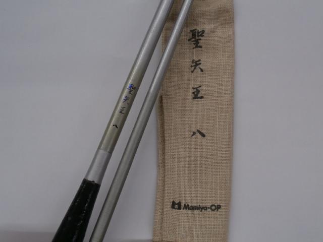 インストラクター聖矢王 8