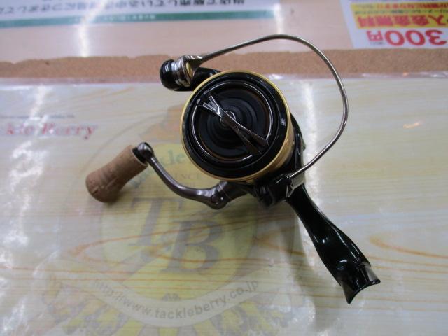 18カーディフCI4+ 1000SHG