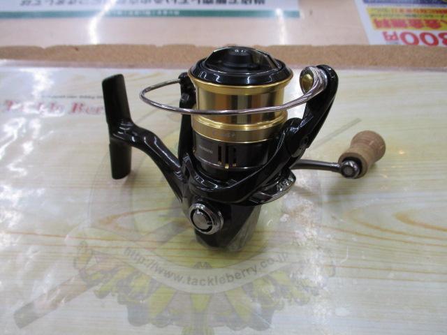 18カーディフCI4+ 1000SHG