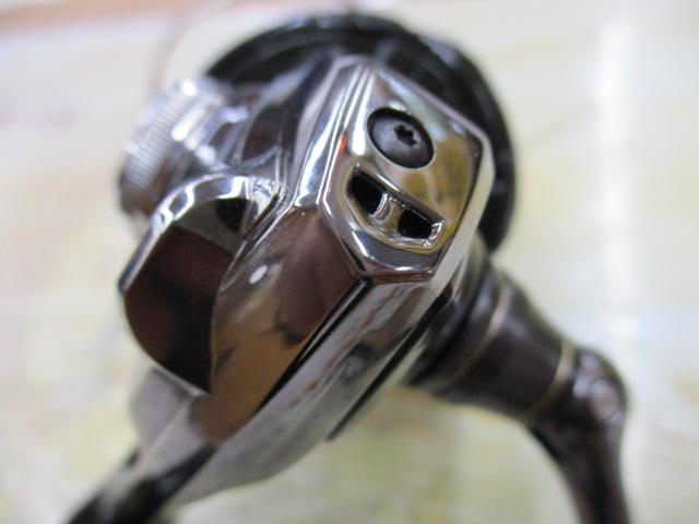 18カーディフCI4+ 1000SHG