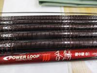 PLⅢ香鱗硬中硬81