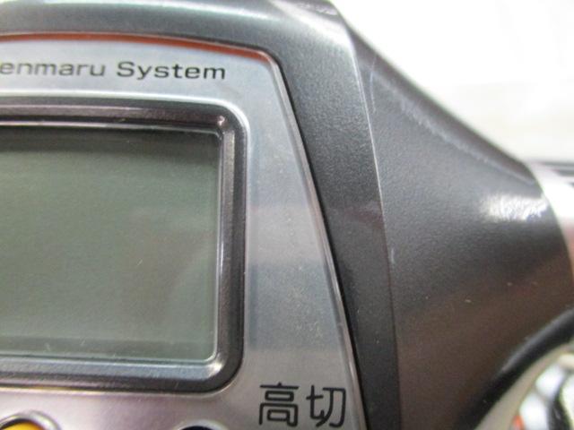 11電動丸 イカスペシャル